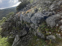 Foto 2 castelo