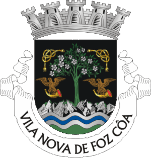 Brasão de Vila Nova de Foz Côa 
